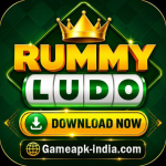 RUMMY LUDO ONLINE EARNING POTENTIAL icon